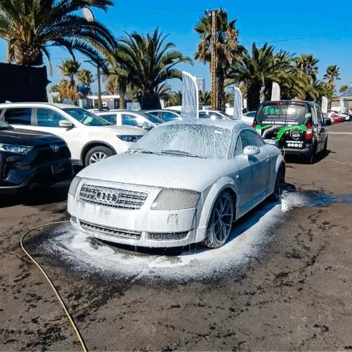 Servicio de Lavado Premium de autos en San Felipe