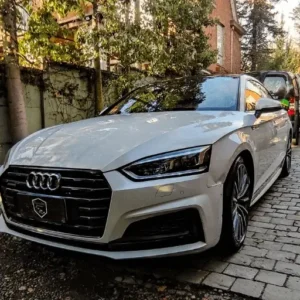 Servicio de Detailing Básico de Autos en San Felipe